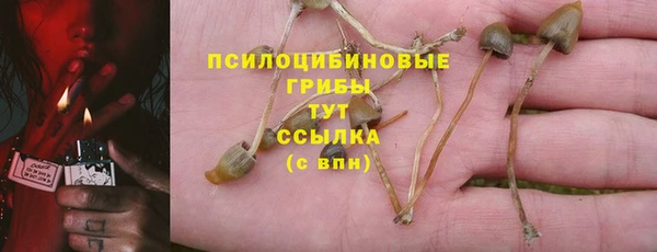 скорость Аркадак