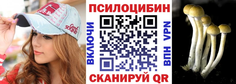 Купить  Судак  Галлюциногенные грибы Cubensis 
